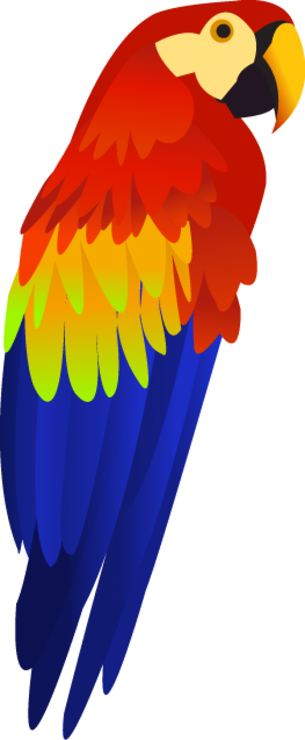 Png Stock Colorful Parrot Png Images Free Download - Parrot Clipart Transparent Background (263x637), Png Download
