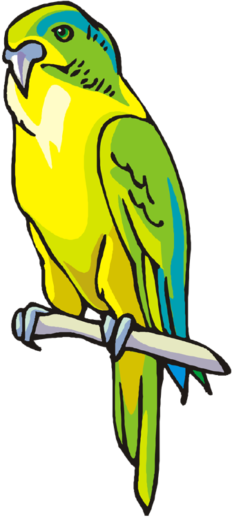 Free Parrot And Macaw Clipart - Green And Yellow Parrot Clip Art (336x750), Png Download