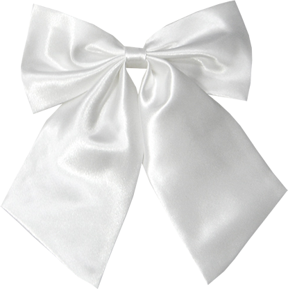 010 - Shoelace Knot (415x416), Png Download