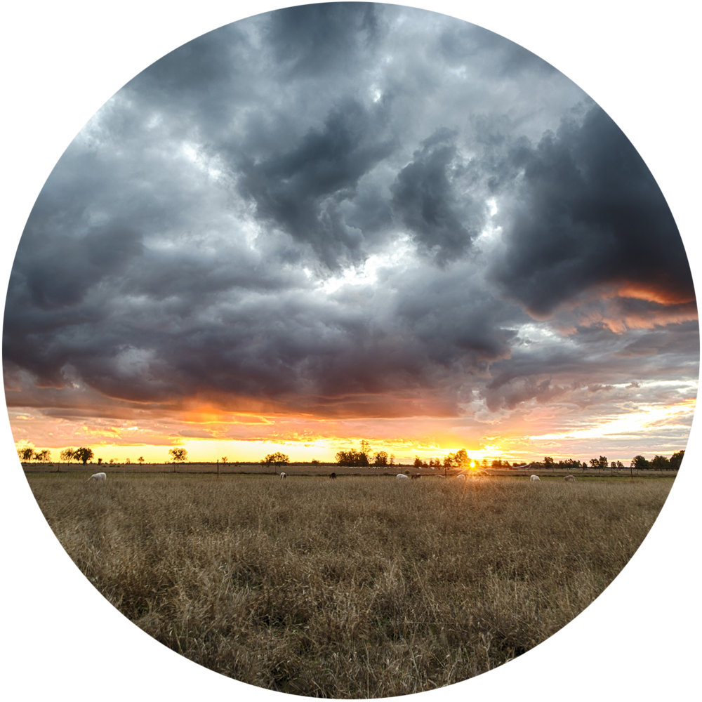 Romasunset - Portable Network Graphics (1000x1000), Png Download