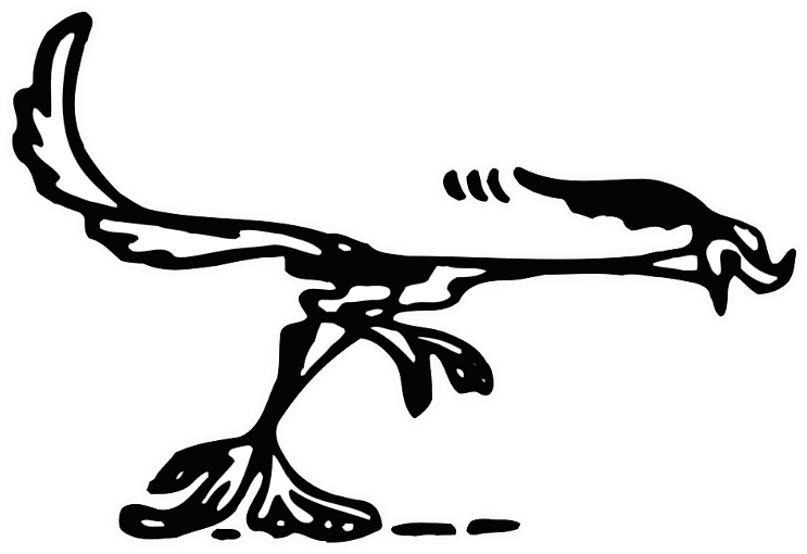 Road Runner (800x565), Png Download