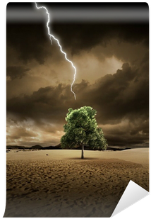 Job: The Sovereignty Of God In The Suffering Of Job (400x400), Png Download