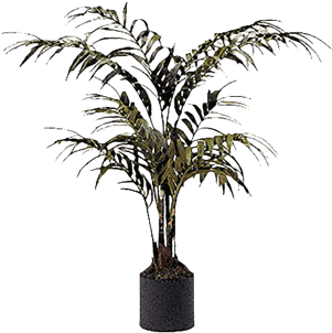 Silk Palm Tree In Container - Brook Furniture Rental (648x432), Png Download