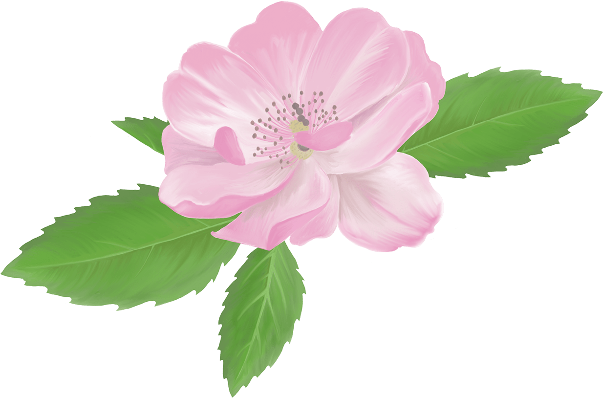 1 - Illustration (1400x1049), Png Download