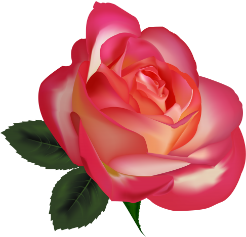 Beautiful Rose Png Clipart Image The Best Png Clipart - Rosas O Flores Png (500x478), Png Download