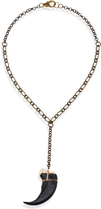 Black Bear Claw Necklace - Necklace (800x800), Png Download