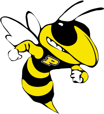 Perrysburg Yellow Jackets - Hilmar High School Yellow Jacket (504x504), Png Download