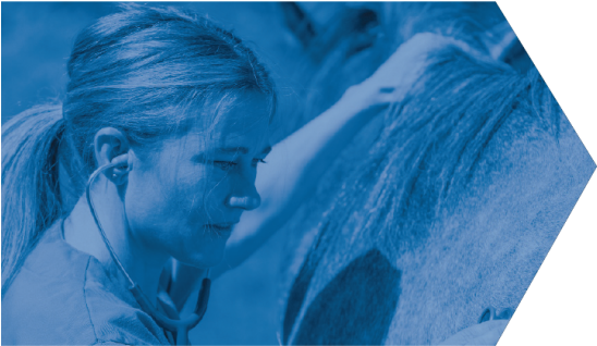 Wb Female Vet Blue Arrow - Visual Arts (600x337), Png Download