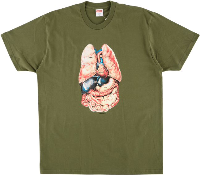 Supreme F W 18 Guts Tee (1000x600), Png Download