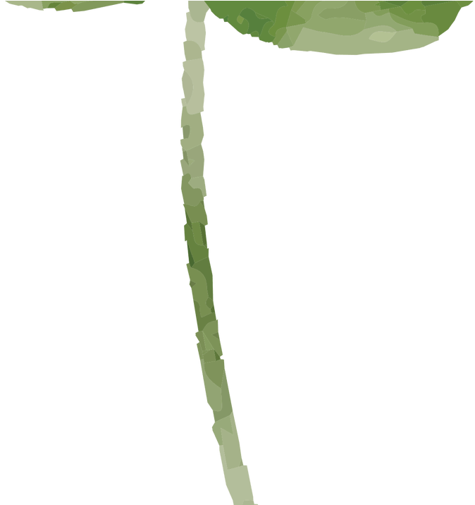 Free Watercolor Flower Images Peach Delight Free Pretty - Watercolor Painting (1200x715), Png Download