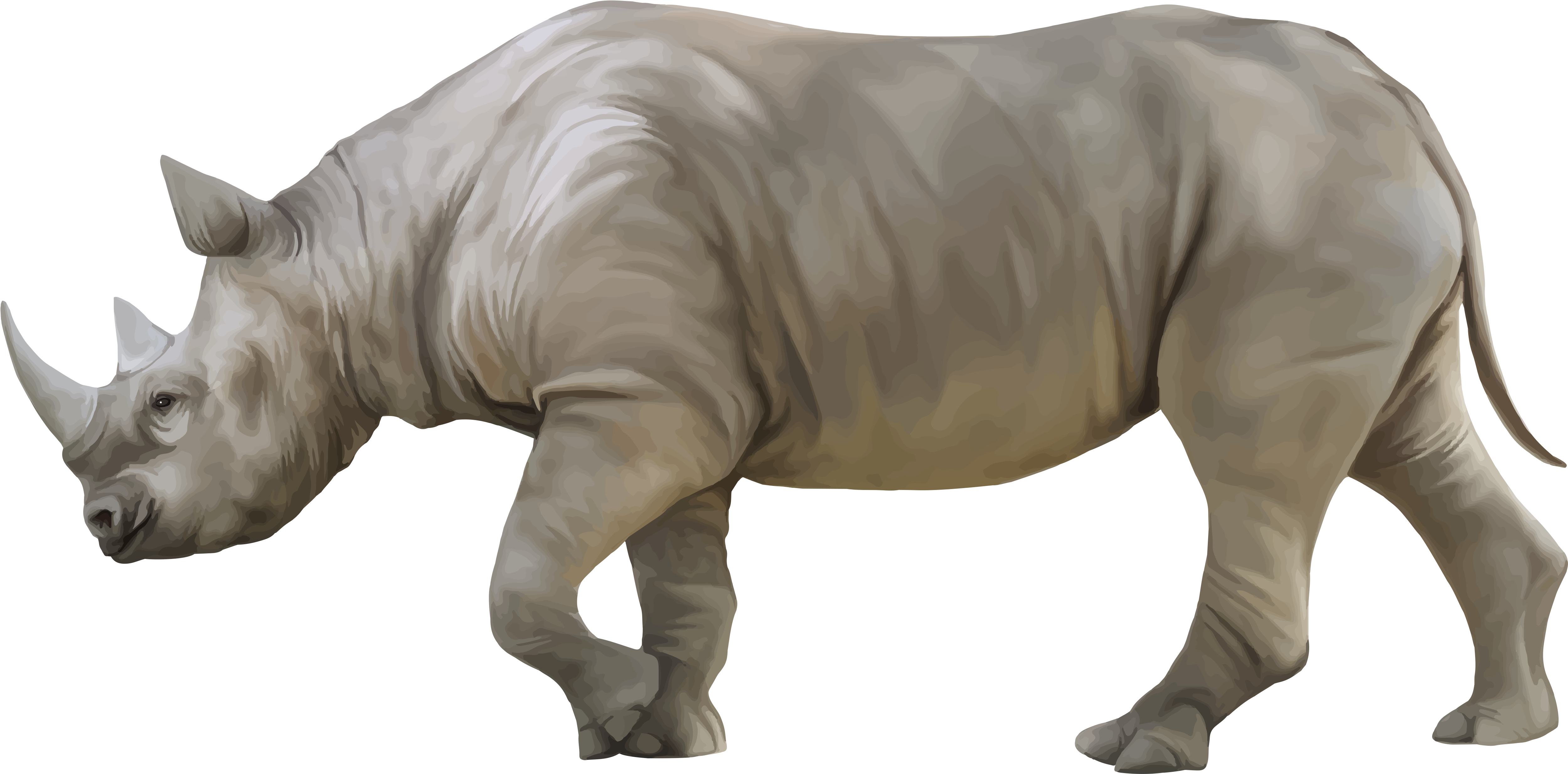 Rhino Png Clipart - Rhino Png (5159x2630), Png Download