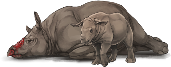Babyrhinoday - Indian Rhinoceros (640x385), Png Download