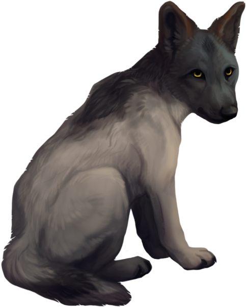 Slofozo ] - Oriental Shorthair (529x617), Png Download