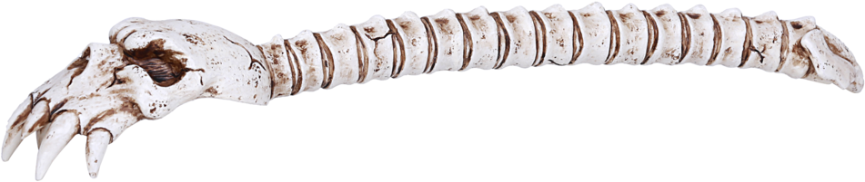Backscratcher (1024x366), Png Download