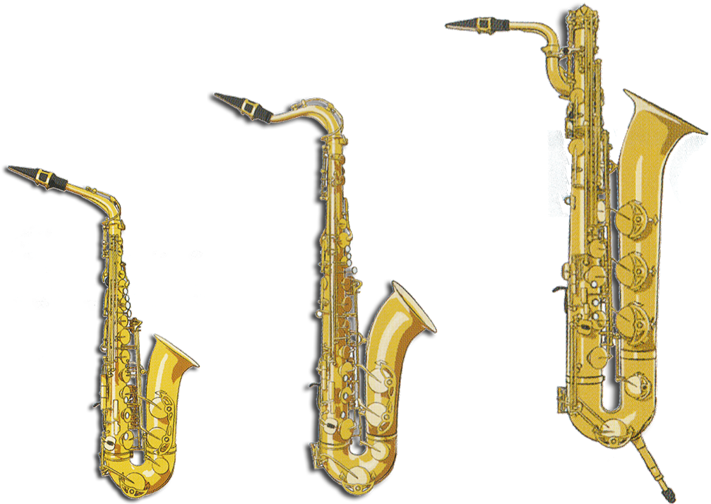Sax Family - Saxophone (1376x888), Png Download