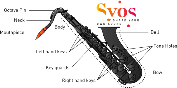 The Saxophone - Saxophone (600x317), Png Download