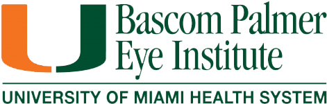 Erleben Sie Esight Ab Heute - Bascom Palmer Eye Institute Logo (500x500), Png Download