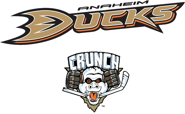 Anaheim Ducks 2010 Logo (800x600), Png Download