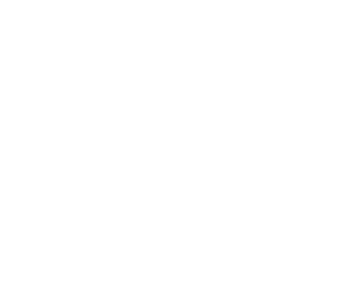 White Spotlights Png - Spotlight Black White Png (722x615), Png Download