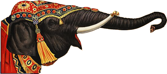 Circus Elephant Cut-out - Indian Elephant (640x428), Png Download
