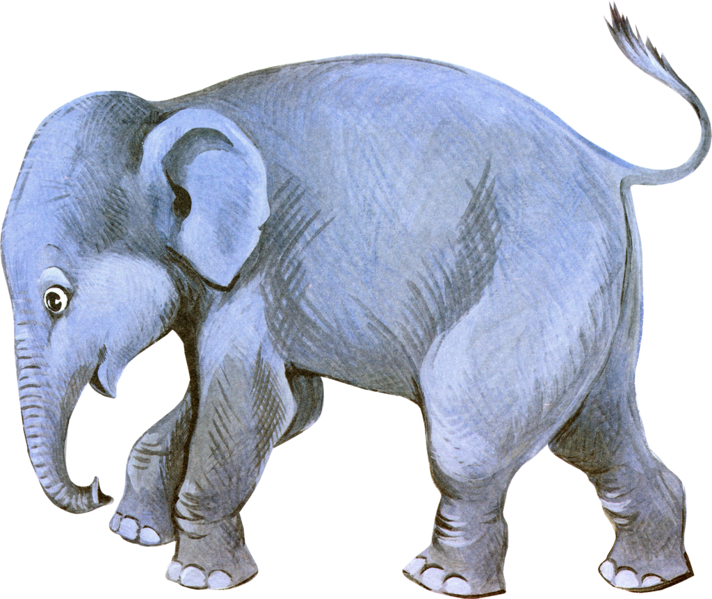Circus Elephant Png Download - Слон Пнг (1024x862), Png Download