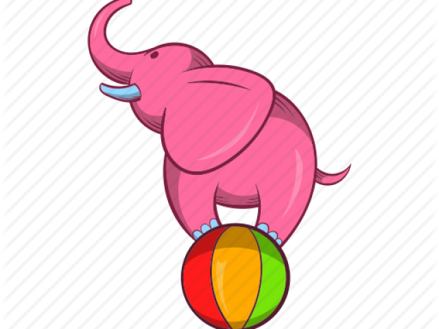 Cartoon Circus Elephant - Elephant On A Ball Clipart (640x480), Png Download