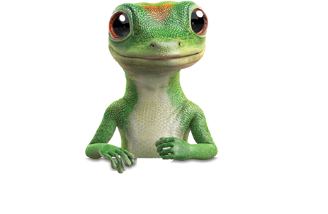 Geico Auto Quote Cars - Geico Gecko Png (528x445), Png Download
