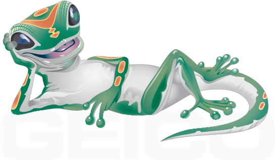 Geico Logo - Geico Shirt (563x317), Png Download