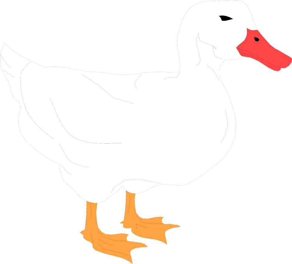 Duck - White Duck Clipart Transparent (958x865), Png Download