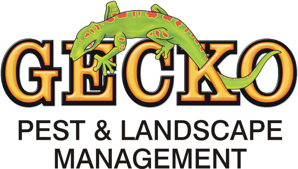 Gecko Pest & Landscape Management - Gecko Pest & Landscape Management (1024x584), Png Download