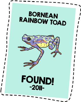 Romer's Tree Frog (300x400), Png Download