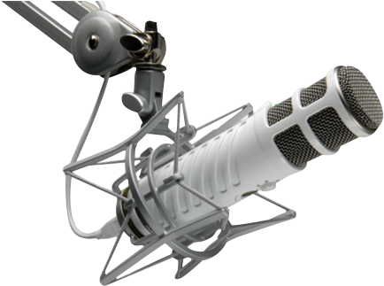 The Voice Realm Voice Over Coaching - Rode Micro Boompole, 2m (495x359), Png Download