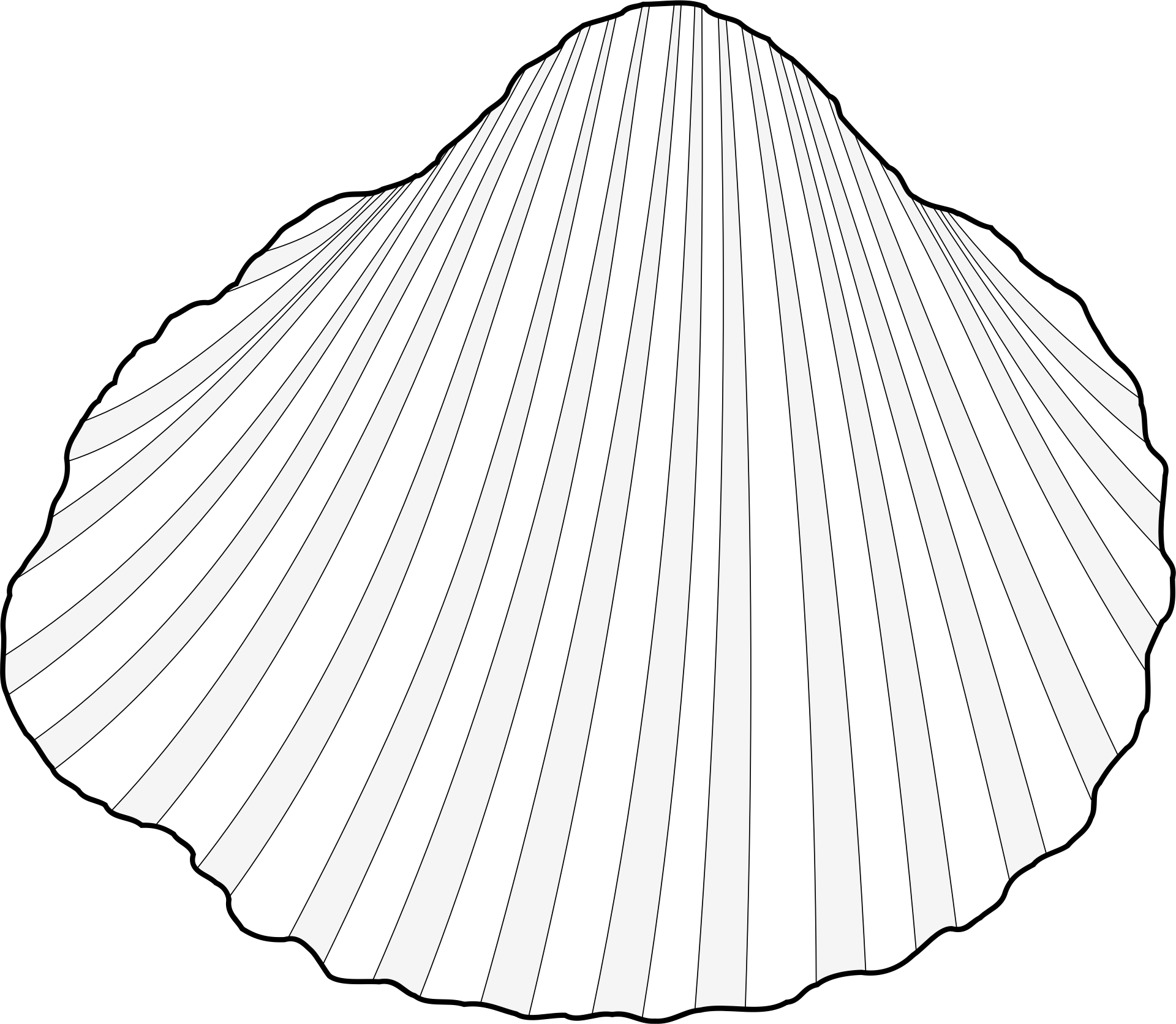 Clam Shell Clipart Download - Clipart Cockle (1920x1672), Png Download