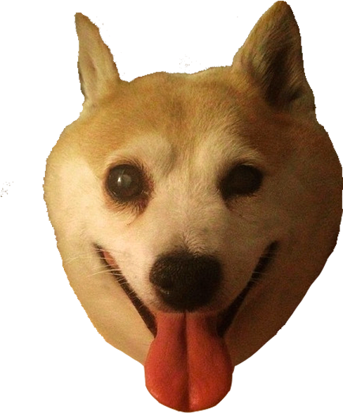 Shiba Dog's Head Messages Sticker-7 - Dog (618x618), Png Download