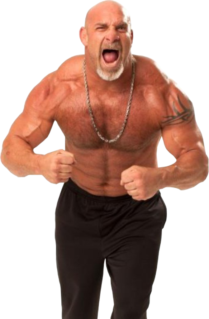 Bill Goldberg Fists - Goldberg Wikipedia (507x774), Png Download