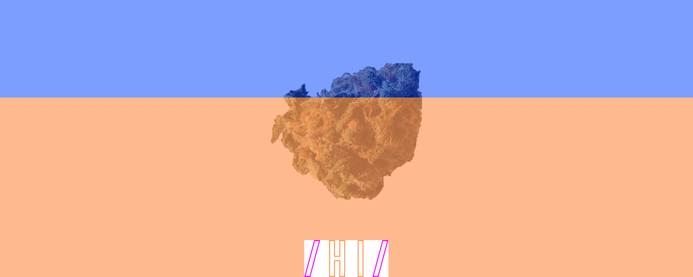 Pink Banner - Northern Lights Bud (2813x1125), Png Download