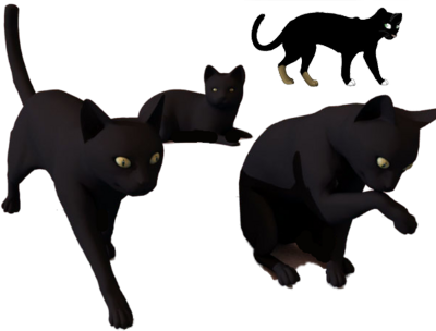 Halloween Cat Png Download - Black Cats (400x304), Png Download