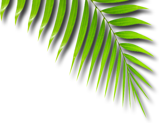 African Tribe Png (534x412), Png Download