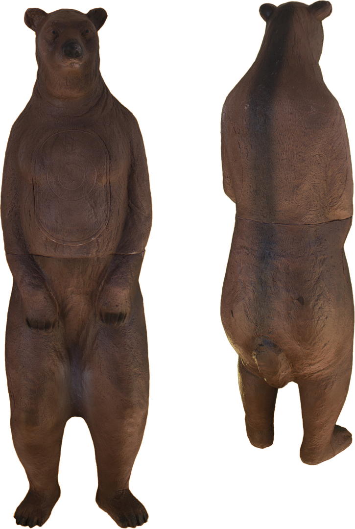 American Black Bear (725x1080), Png Download