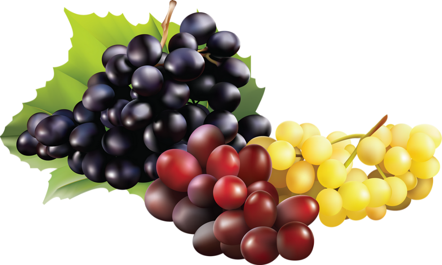 Fruit De Raisin Png (900x540), Png Download