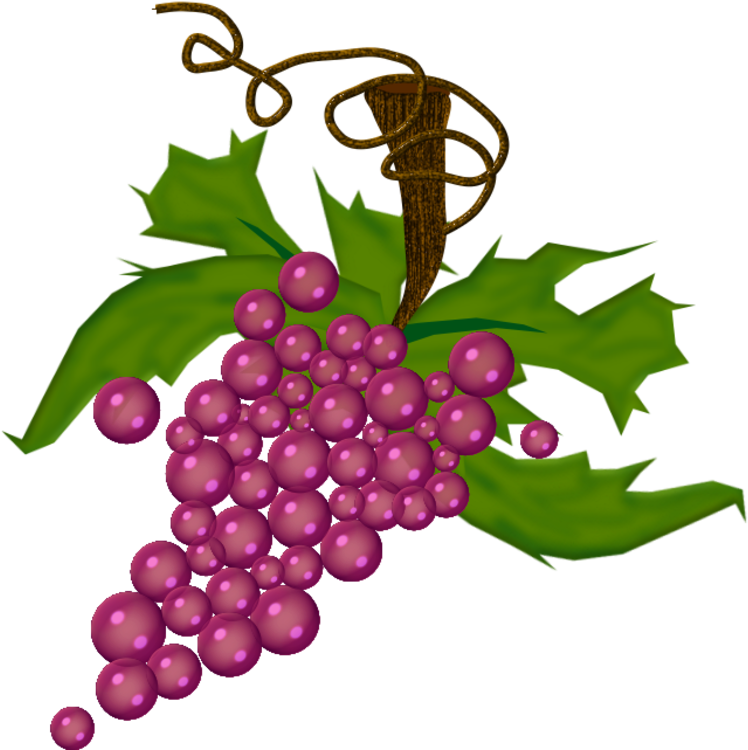 Grappe De Raisin Png (800x759), Png Download