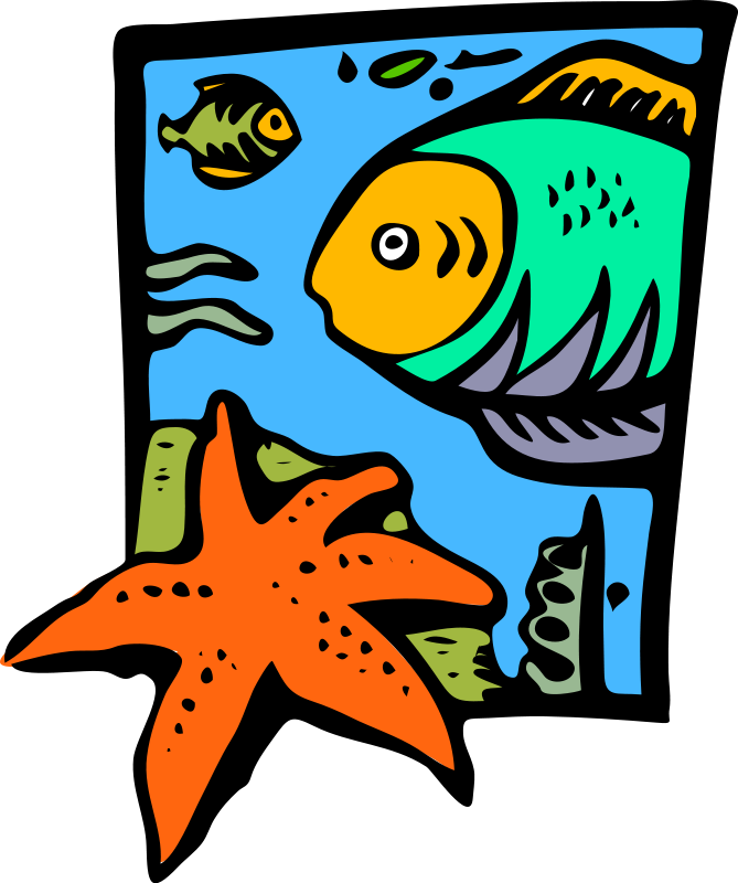 Starfish Clip Art Download - Marine Life Clipart (669x800), Png Download
