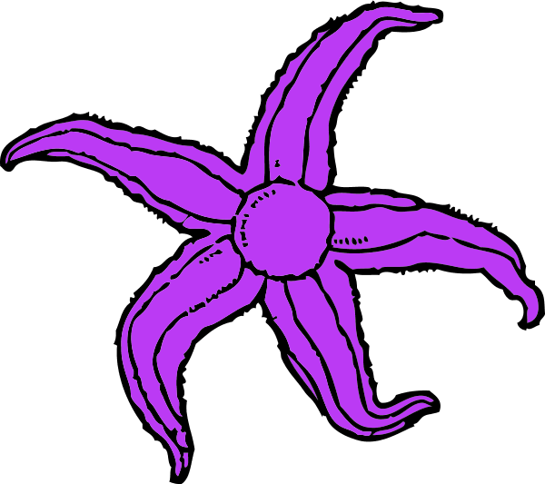 Purple Starfish Clipart - Starfish Clip Art (600x533), Png Download