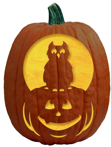 Pumpkin Carving Halloween Jackolantern Jack O Lantern - Owl Carvings Into Pumpkins (500x500), Png Download