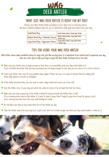 Wag Whole Antler - Dog (418x599), Png Download