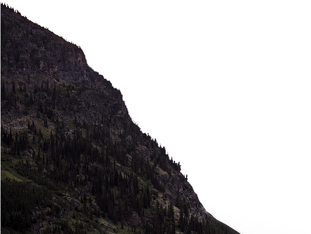 Ivory (1920x462), Png Download