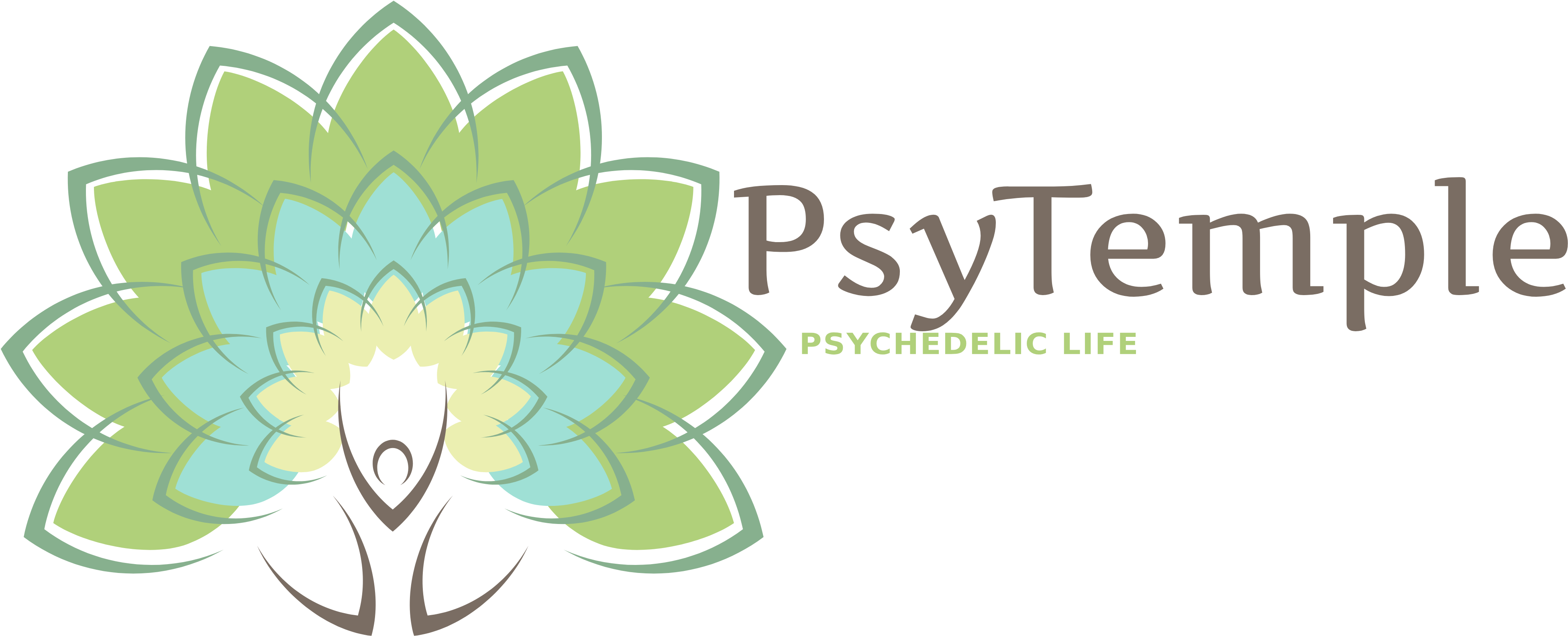 First Dance Spring Fashion Mens Indian Skull Boots - Drawing (4000x1664), Png Download