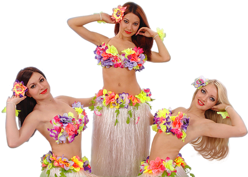 Tropical Hula Dance - Hula Dance Png (500x358), Png Download