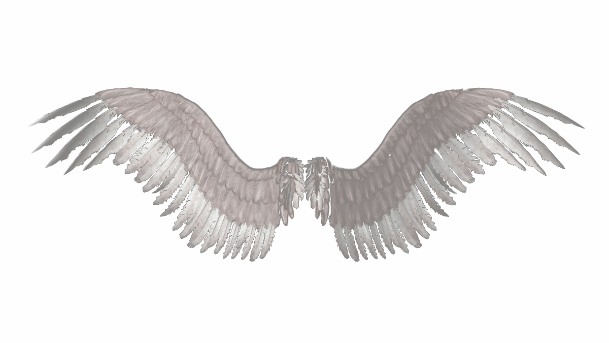 Transparent Feathers Supernatural - Wings Png (1200x675), Png Download