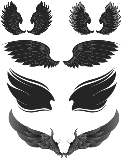 Wing (500x588), Png Download
